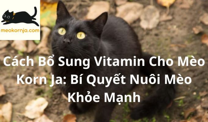 Cách Bổ Sung Vitamin Cho Mèo Korn Ja: Bí Quyết Nuôi Mèo Khỏe Mạnh