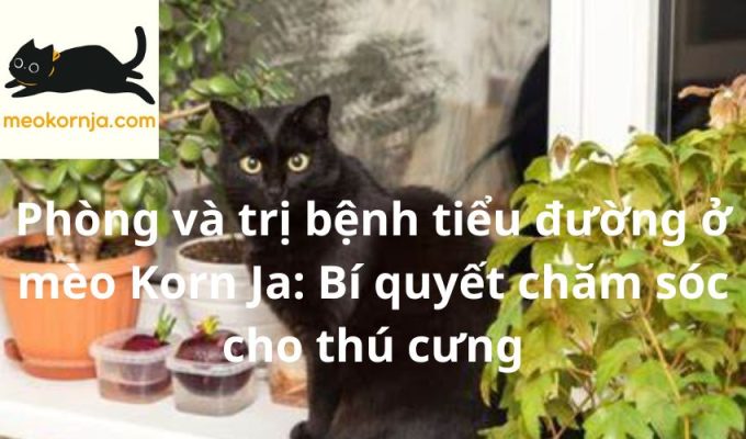 Phòng và trị bệnh tiểu đường ở mèo Korn Ja: Bí quyết chăm sóc cho thú cưng